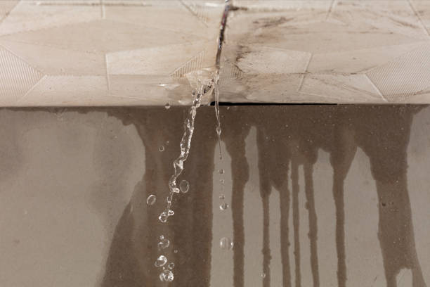 Professional Sewage Cleanup technician working in Mckenna, WA